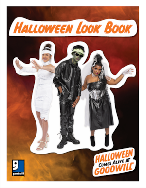 2026 Halloween Look Book